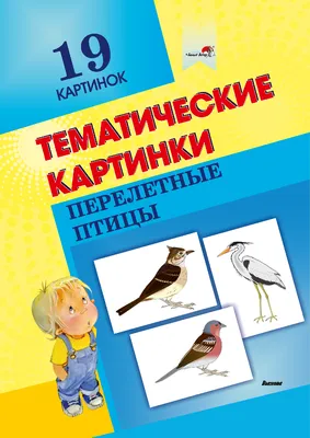 Почему перелётные птицы летят на север? Ведь они могут остаться на юге  навсегда! | В мире животных | Дзен