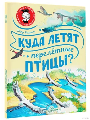 Возвращение зимы замедлило весеннюю миграцию птиц – перелетные птицы  повернули обратно на юг | Yle Novosti | Yle