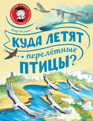 Плакат. Перелетные птицы, , Мозаика-Синтез купить книгу 978-5-43150-882-0 –  Лавка Бабуин, Киев, Украина