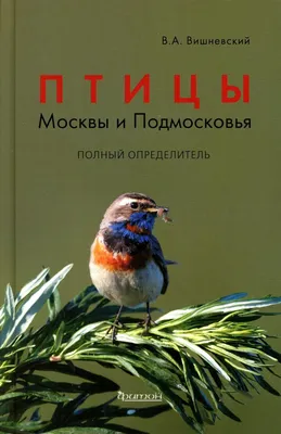 Специалисты Мосприроды составили календарь отлета птиц из столицы / Новости  города / Сайт Москвы