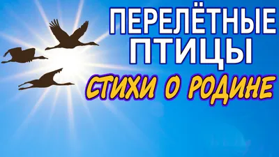 Позаботьтесь о птицах, не улетевших на юг / Новости / Администрация  городского округа Пущино