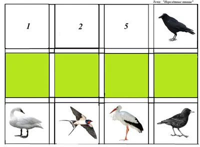 перелетные птицы картинки для детей: 785 изображений найдено в Яндекс  Картинках