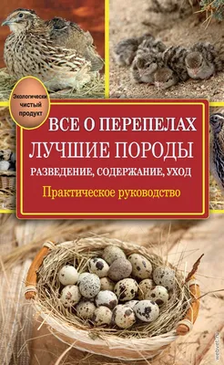 Иллюстрация 1 из 10 для Перепела. Полное руководство по уходу, содержанию и  разведению - Бернхардт, Кюне |