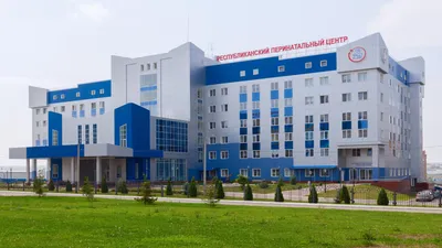 Перинатальный центр Саранск фото фото