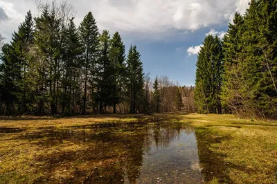 Новостройки (ЖК) в микрорайоне Гайва (Пермь) от Застройщиков - предложения  (ЖК), купить квартиру в новостройке (новом доме) недорого: цены,  планировки, фото – Домклик