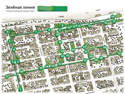 Появилась карта расширенной зоны платных парковок в Перми | «Новый  компаньон»