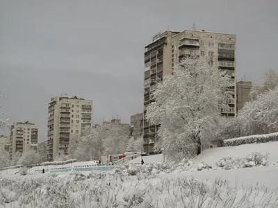 Зима в «Райском саду»