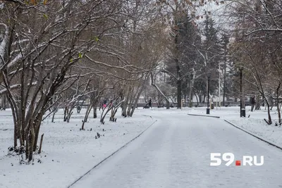 В Перми до конца декабря откроют восемь ледовых городков с елками, горками  и иллюминацией - Эхо Москвы в Перми