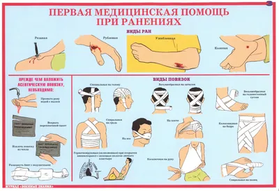 Аптечка для оказания первой медицинской помощи | Состав аптечки первой  помощи