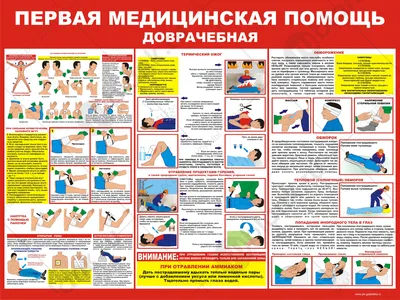 Первая помощь фото плакат - ОБЖ: Основы безопасности жизнедеятельности