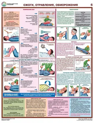 Первая помощь\": Первая помощь при ранениях