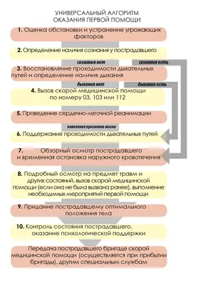 Первая помощь при ссадинах и ушибах | Клиника Добрый Доктор г. Красноярск