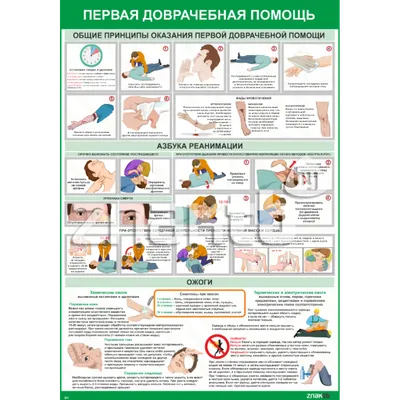 Первая помощь при кровотечении, перегревании, ожогах | ГБУЗ особого типа  \"МТНПЦМК (ЦЭМП) ДЗМ\"