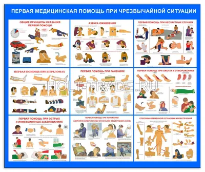 Комитет по здравоохранению Санкт-Петербурга | Первая помощь