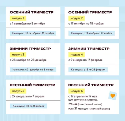 Баскетбол. Чемпионат мира: новости онлайн, фото, видео, результаты,  турнирные таблицы, команды - Чемпионат