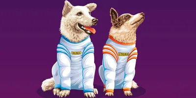 Ветерок и Уголёк. Космические путешественники