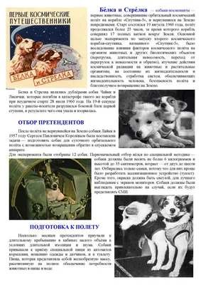 Собаки космонавты | ВКонтакте