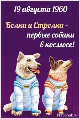 Собака в космосе рисунок - 68 фото