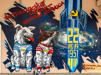 Собаки, обезьяны, плодовые мушки и другие животные-космонавты | Компьютерра