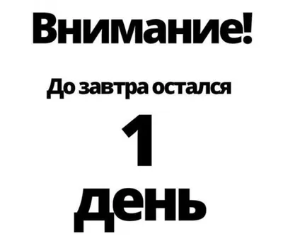 Жизнь после отпуска:день первый | Вокруг да около | Дзен