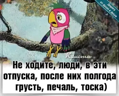 МБДОУ Детский сад №15 г. Мурманска. Как получить справку в детский сад после  отпуска