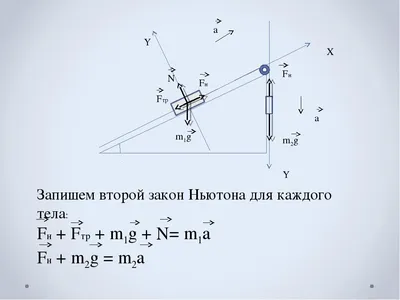 Как запомнить три закона Ньютона? Пнешь - не пнешь (Лев Балашов) / Проза.ру