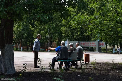 Петра Дубрава: последние новости на сегодня, самые свежие сведения | 63.ru  - новости Самары