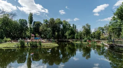 Город на память». 075. Петровский парк - Русский блоггер