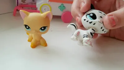 LPS Лпс Littlest pet shop Петшоп Пет шоп кошка кот котик стоячка #1024: 225  грн. - Коллекционирование Винница на Olx