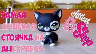 Стоячки петшоп (lps, Littlest Pet Shop): 600 грн. - Коллекционирование Киев  на Olx