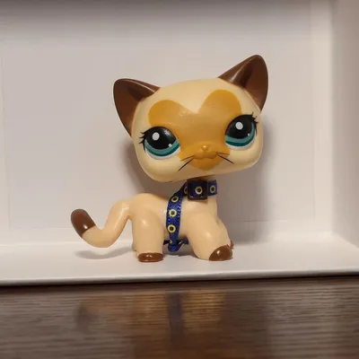 Игрушки LPS Littlest Pet Shop Стоячая кошка!!Стоячка! — купить в  Красноярске. Состояние: Новое. Другое (игрушки) на интернет-аукционе Au.ru