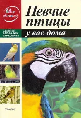 Сувенирный набор спичек ПЕВЧИЕ ПТИЦЫ. СССР. Полный комплект. Состояние.