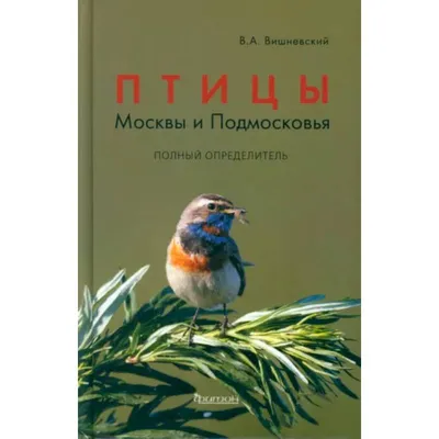 Зимние птицы Подмосковья | Пикабу