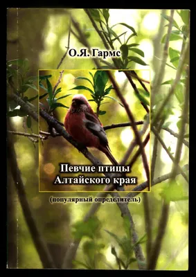 1995-033) Марка Россия \"Певчий дрозд\" Фауна. Певчие птицы России III Θ,  купить