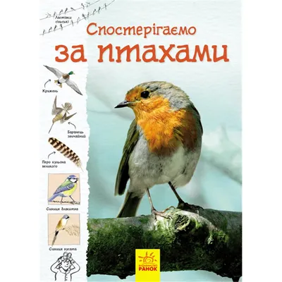 Книга Певчие птицы от продавца: Chronicab00ks – купить в Украине | ROZETKA  | Выгодные цены, отзывы покупателей