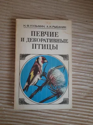 В Приморье залетела экзотическая птица из Японии. Инфографика |  ОБЩЕСТВО:Люди | ОБЩЕСТВО | АиФ Владивосток