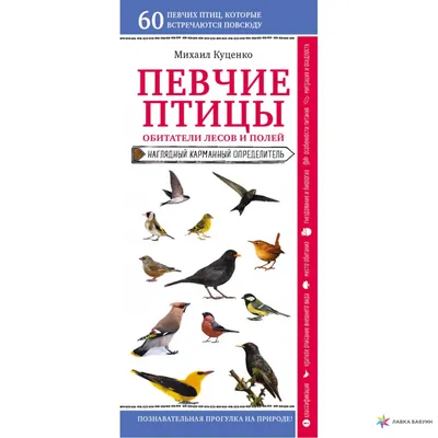 Полная серия 1981 \"Певчие птицы\" (5 марок) стоимостью 316 руб.