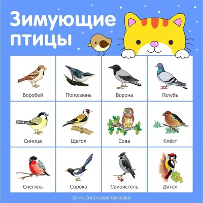 Певчий дрозд — Википедия