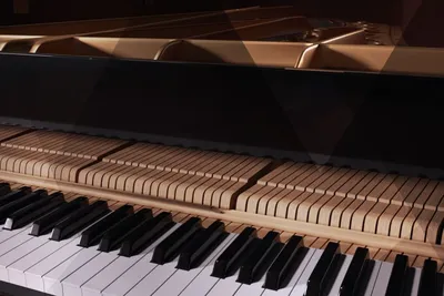 Types of Pianos | Music City Spokane