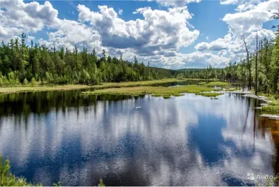 Метеорит и \"живая вода\": легенда о Пяти озёрах Омской области | 12 канал