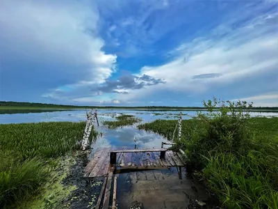 Озеро Линево в Омской области. Базы отдыха, фото, видео, где находится, как  добраться – Туристер.Ру