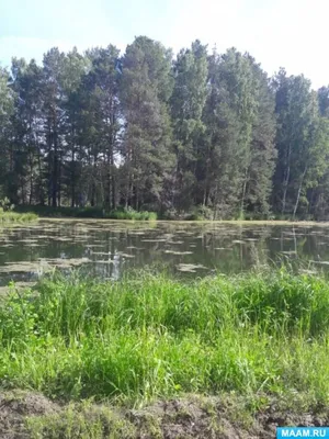 Где в Омской области отдохнуть с палаткой - наш ТОП красивых и удобных мест