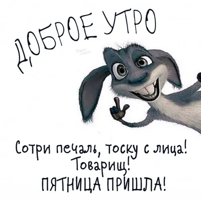 Винишковый юмор врывается в ленту 👌 Всем хорошей пятницы 🥳♥️🤟 #пятница# юмор#ржака#выходные#завтраки… | Instagram