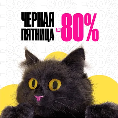 УРА! ПЯТНИЦА, КФ Атаг АтАг 58989271 купить за 697 ₽ в интернет-магазине  Wildberries