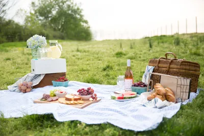 How to Plan the Perfect Picnic Menu - NetCost Market