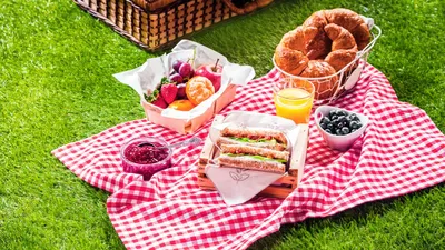 The Best Picnic Food and Drink Ideas