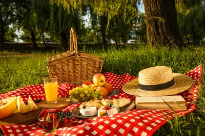 How to Plan a Farm Fresh Summer Picnic