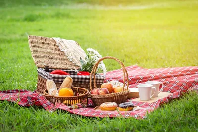 8 Spots for the Perfect Picnic in Tampa Bay - Westchase WOW