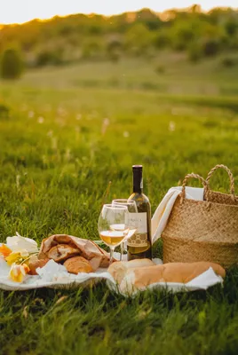 Perfect Picnic NYC