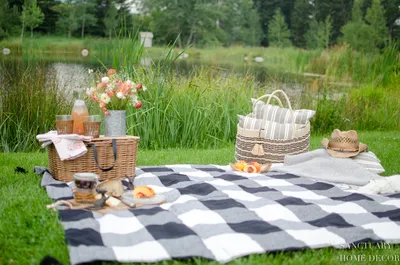 This Summer, Picnicking Trends Are All About Glamour and Sustainability